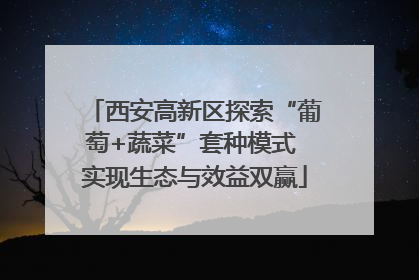 西安高新区探索“葡萄+蔬菜”套种模式 实现生态与效益双赢